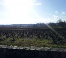 Début des fondations
Vue sur les vignes !