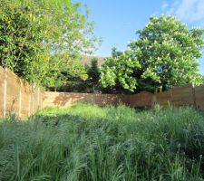 Y'a un côté sympa dans ce jardin sauvage, avec ces herbes folles.