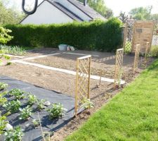 Début des plantations au potager