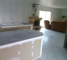 La cheminée le salon sa avance