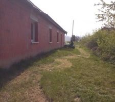 La première tonte de 2014