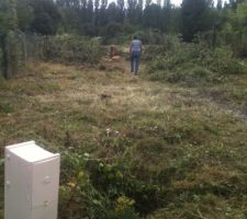 D&eacute;broussaillage du terrain