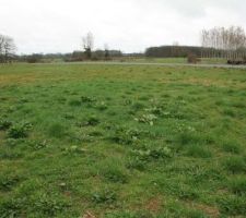Terrain de 1588m&sup2; a la sortie de saint Jean de bonneval. Acheter &agrave; une propri&eacute;taire tr&egrave;s gentille.