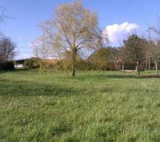 Vue depuis le fond du terrain