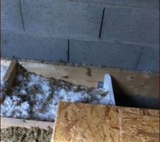 Comble avec plancher pas encore pos&eacute;