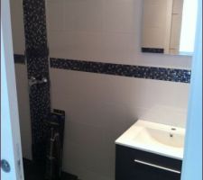 Salle de douches rdc ( il manque la paroi de douches et douichette sur la photo)