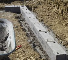 Enfin, ça sort de la terre !