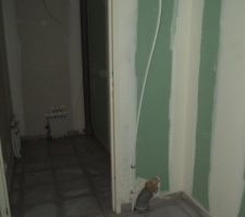 WC et Cellier - 29/04/2014