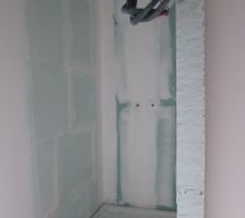 Futur douche avec bac posé