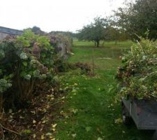 Nettoyage du terrain