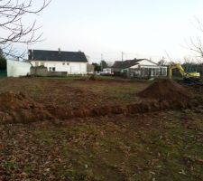 Vue arriere du terrain après le dessouchage des arbres et des 30m de laurier
