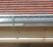 Goutti&egrave;re en zing