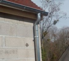 Goutti&egrave;re en zing