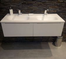 Meuble et vasque choisis pour la sde