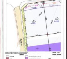 Plan de masse du terrain