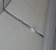 Joint carrelage