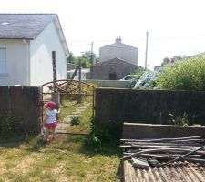 Visite du terrain (muret)