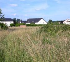 Terrain avant am&eacute;nagement lotissement