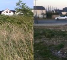 Terrain - Avant-apr&egrave;s am&eacute;nagement