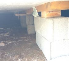 Suite du vide sanitaire