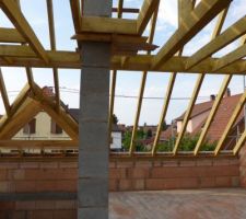 Conduit de cheminée