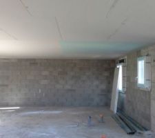 Plafond fini