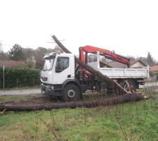 Dégâts du voisinage : arbres tombés