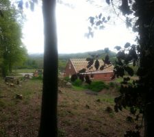 Petite vue du fond du terrain, derri&egrave;re les premiers arbres de la foret