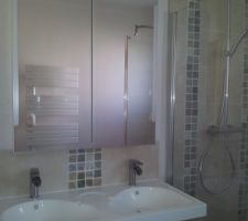 SDE, tous les &eacute;quipements dont le s&egrave;che serviette SAUTER Venise