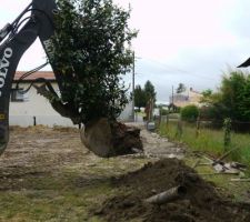 Destruction du vieux batiment.