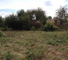 Voici le terrain en partie d&eacute;frich&eacute;.