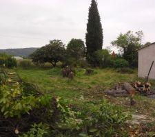 On y voit déjà plus clair
