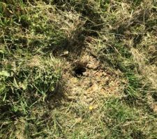 La carotte pour l'&eacute;tude de sol