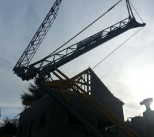 Au revoir la grue... Et merci