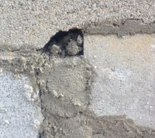 Certains de ses crat&egrave;res...