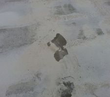 LA laitance qui craque ?? Ca fait une toute petite pellicule de 1mm d'&eacute;paisseur