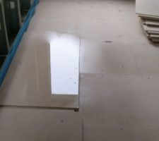 Voici un bout de plancher trempé