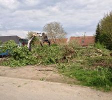 Nettoyage du terrain
