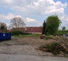 Nettoyage du terrain