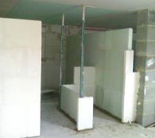 Mise en place des carreaux de plâtre hydrofuges pour la salle de bain et les toilettes