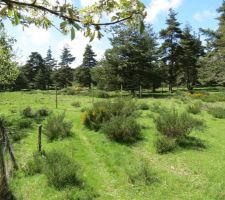 Cloture sud de l'enclos à cheval