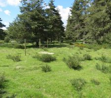 Cloture sud de l'enclos à cheval