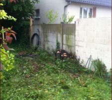 On coupe les arbres....