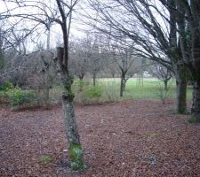 Vue d'en haut du terrain