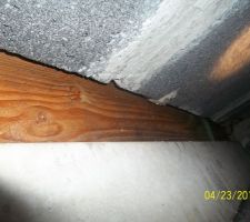 Pose d'un plancher alveolaire avec du bois encastrer dans les dalles d'un coter 21dalles de l'autre 20 d'apres habitat concept c normal je doute que le bois et sysmique car je suis en zone sysmique