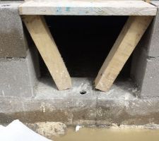 Entr&eacute;e vide sanitaire.