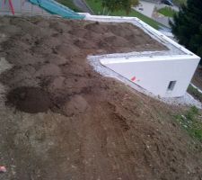 Apport de terre végétale