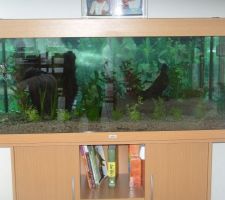 Aquarium