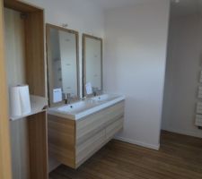 Salle de bain, vasque et meuble Ikea